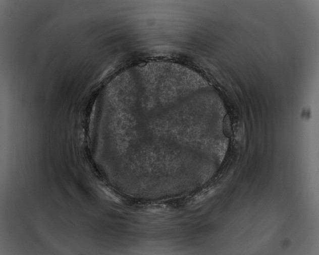 X0000101090916200807171844