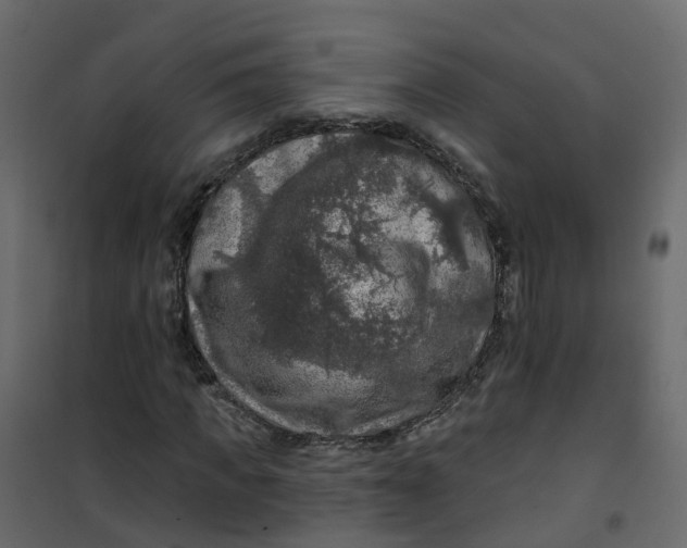 X0000101090917200807171844