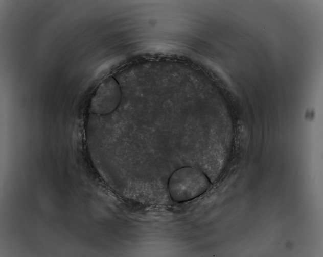 X0000101090918200807171844