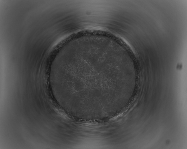 X0000101090919200807171844