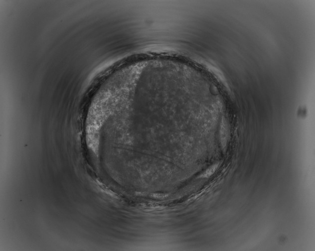 X0000101090920200807171844