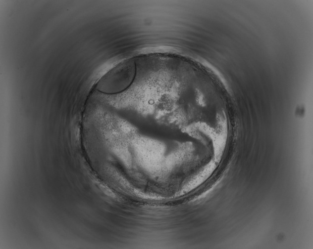 X0000101090921200807171844