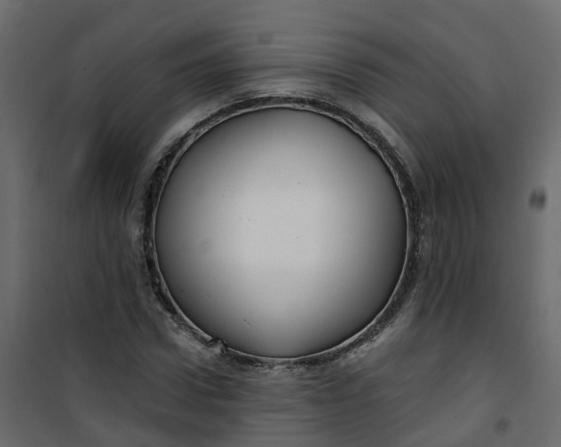 X0000101090922200807171844