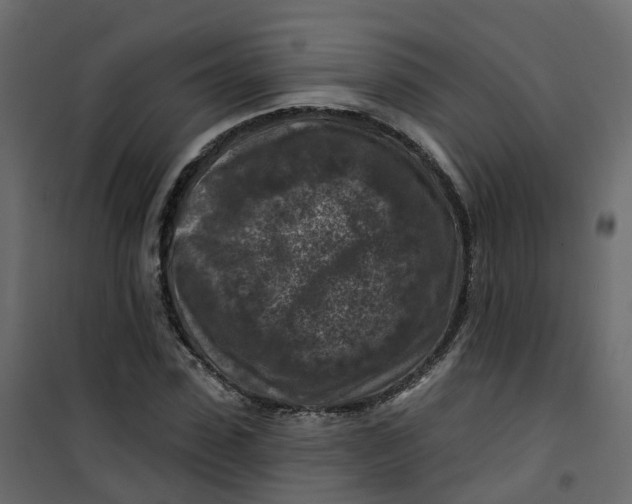 X0000101090923200807171844