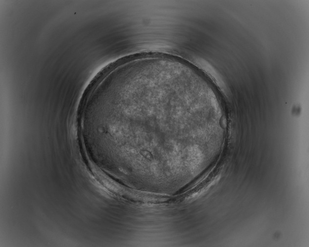 X0000101090924200807171844