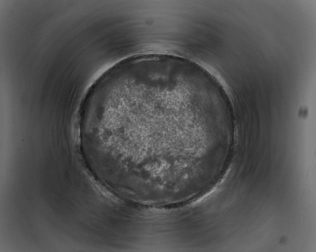 X0000101090925200807171844