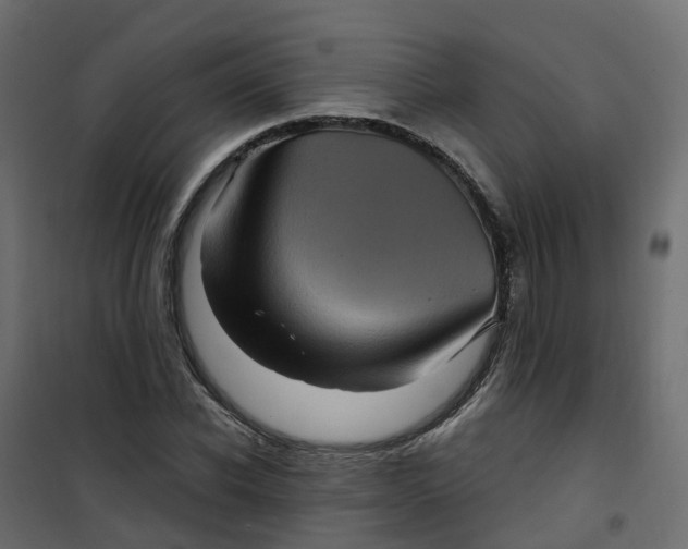 X0000101090926200807171844