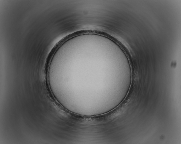 X0000101090927200807171844