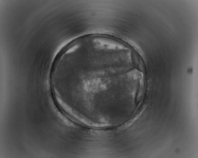 X0000101090928200807171844