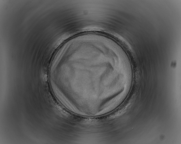 X0000101090929200807171844