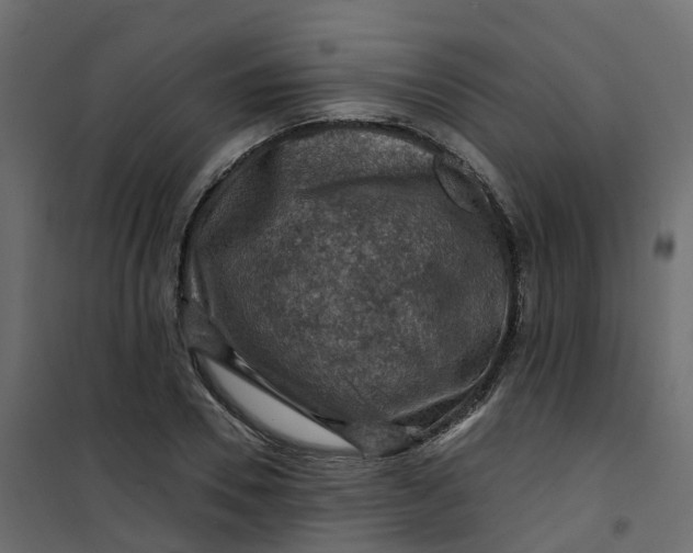 X0000101090930200807171844