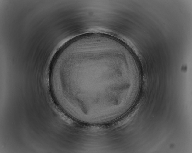 X0000101090931200807171844