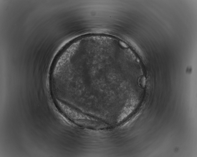 X0000101090932200807171844