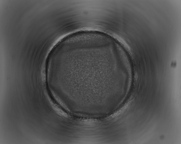 X0000101090934200807171844