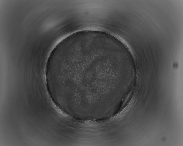 X0000101090935200807171844