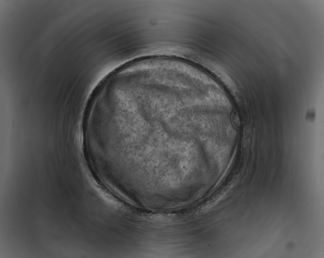 X0000101090936200807171844