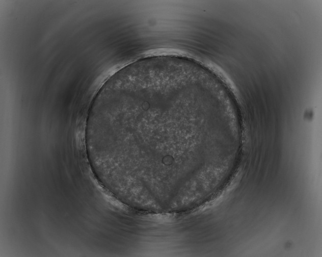 X0000101090937200807171844