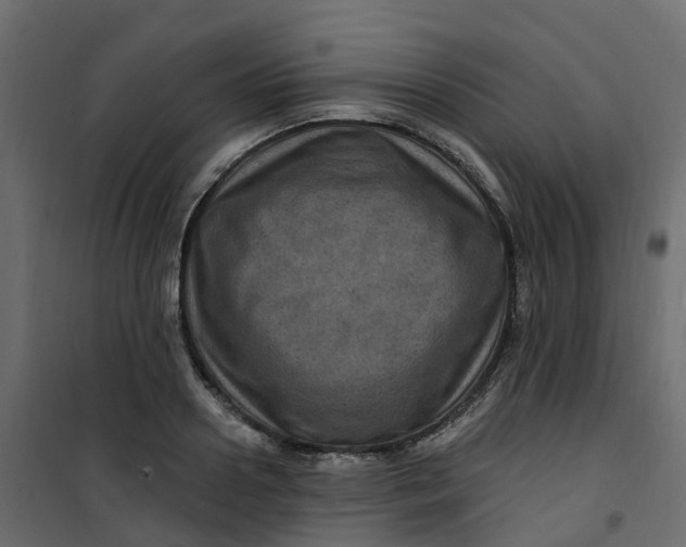 X0000101090938200807171844