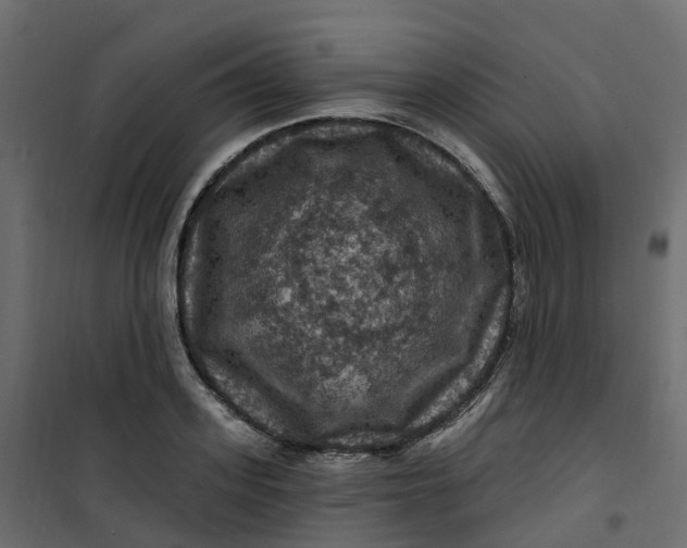 X0000101090939200807171844