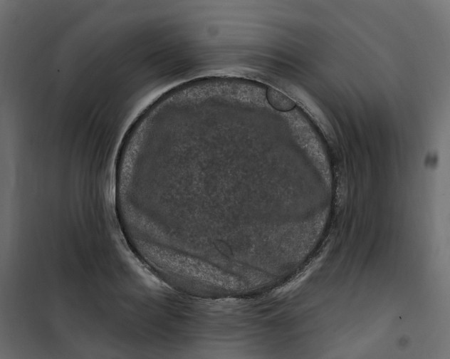 X0000101090940200807171844