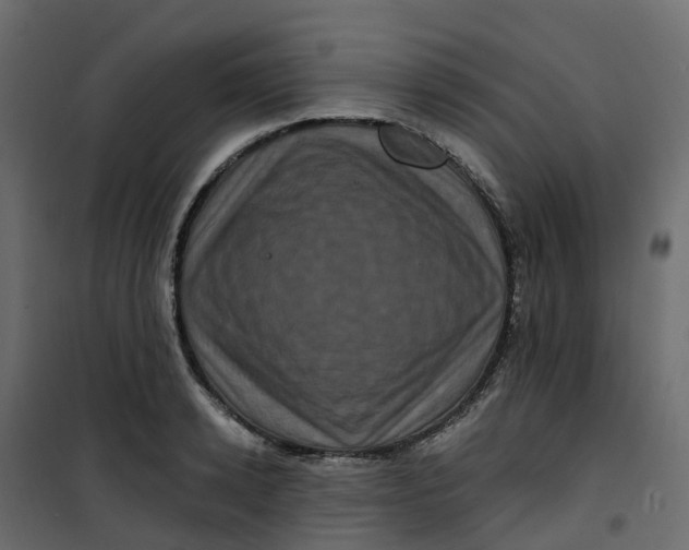 X0000101090942200807171844