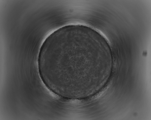 X0000101090943200807171844