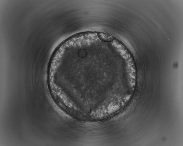 X0000101090944200807171844