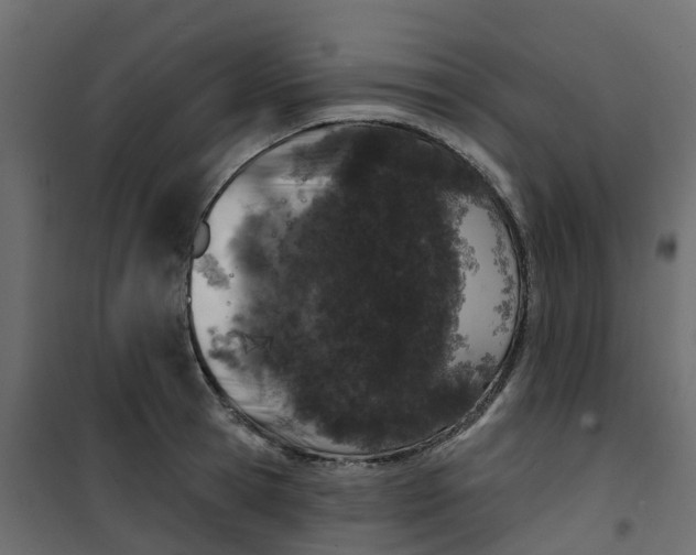 X0000101090945200807171844