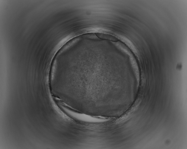 X0000101090946200807171844