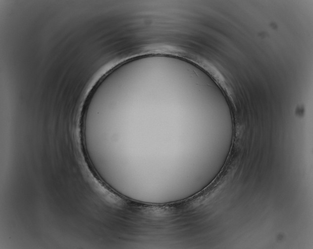 X0000101090947200807171844