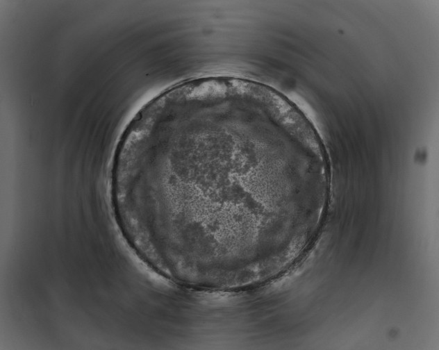 X0000101090949200807171844