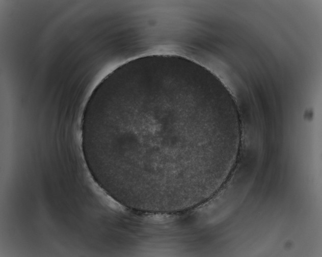 X0000101090950200807171844