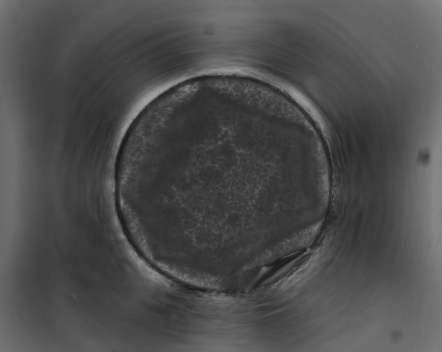 X0000101090951200807171844