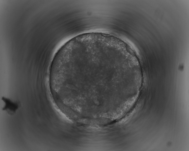 X0000101090952200807171844