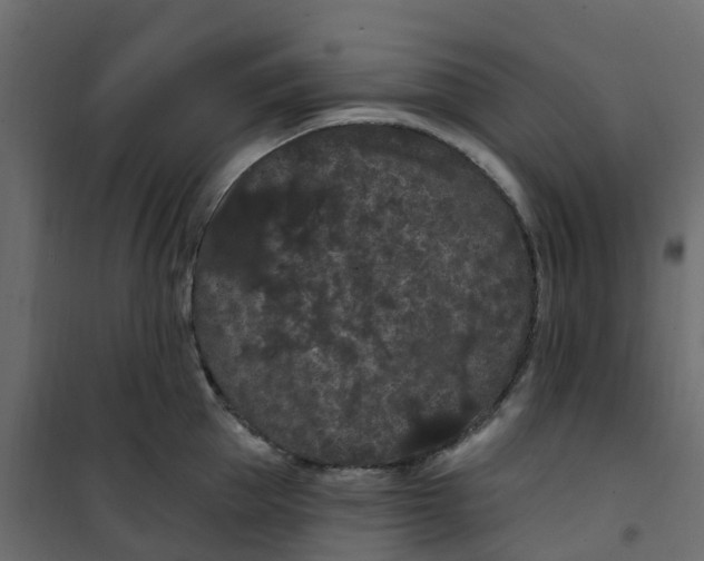 X0000101090953200807171844