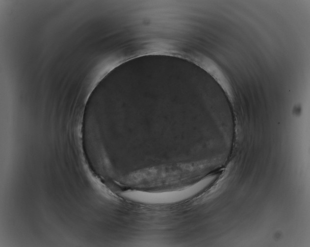 X0000101090954200807171844