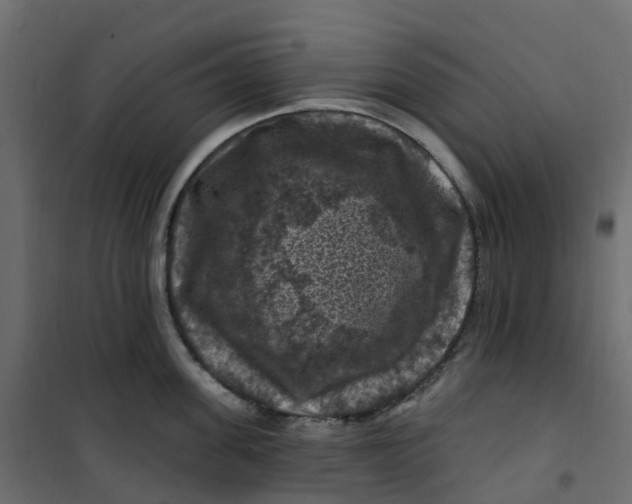 X0000101090955200807171844