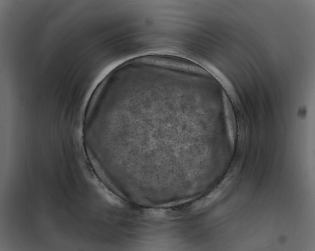 X0000101090956200807171844