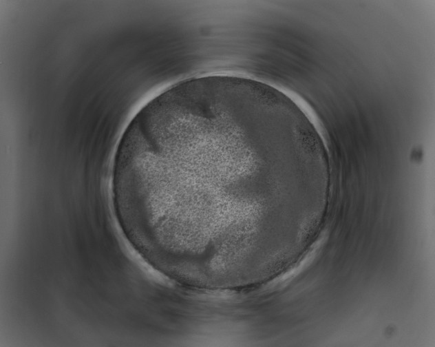 X0000101090957200807171844