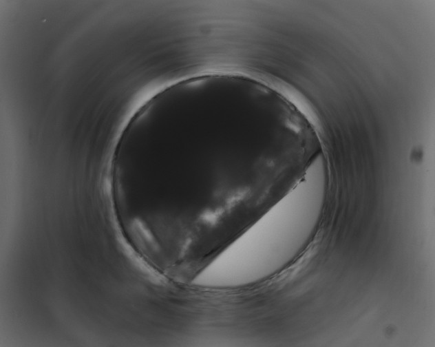 X0000101090958200807171844