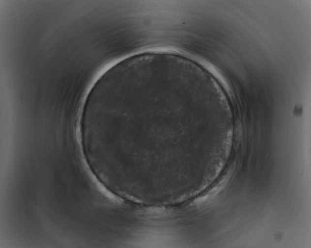 X0000101090959200807171845