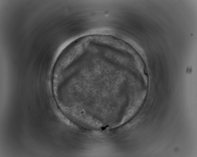 X0000101090960200807171845