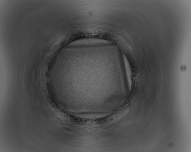 X0000101090961200807171844