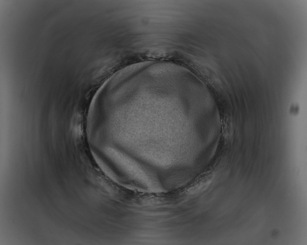 X0000101090962200807171844