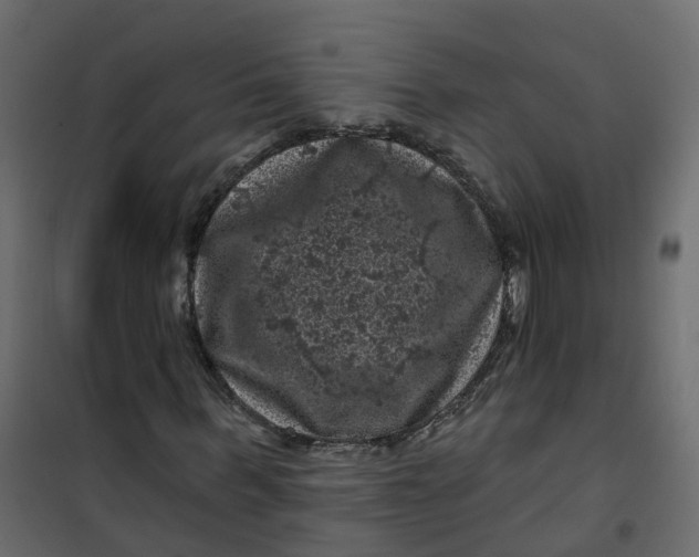 X0000101090963200807171844