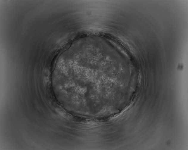 X0000101090964200807171844