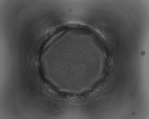 X0000101090965200807171844