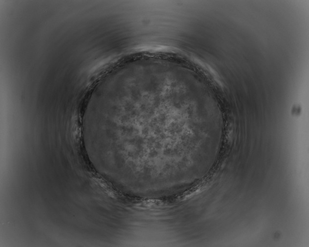 X0000101090966200807171844