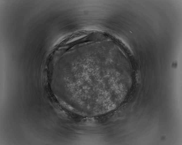 X0000101090968200807171844