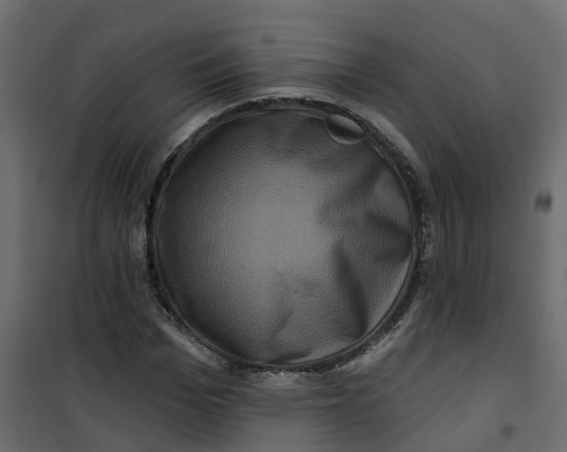 X0000101090969200807171844